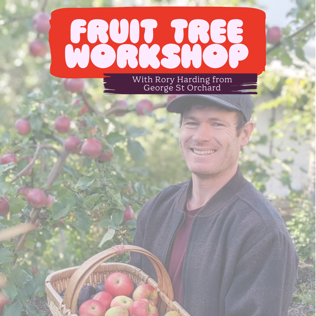 Fruit tree pruning & interventions with Rory Hardy
