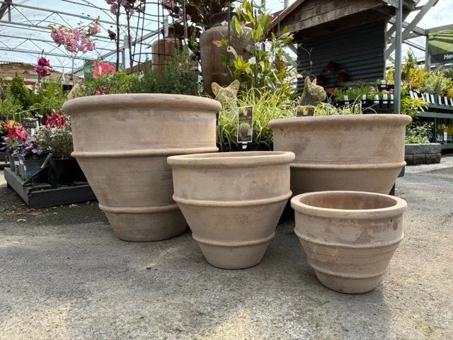 Antique Chocolate Terracotta Petros Planter