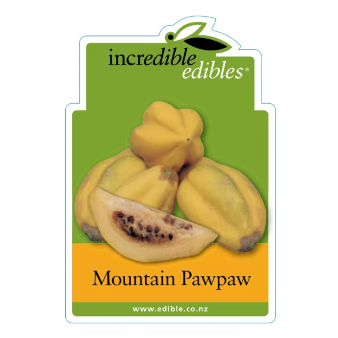 Mountain Paw Paw 3L