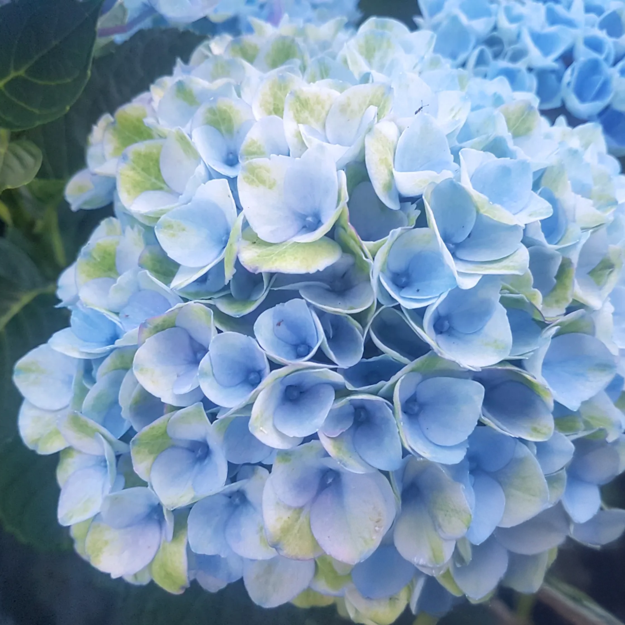 Remove background project (15).png