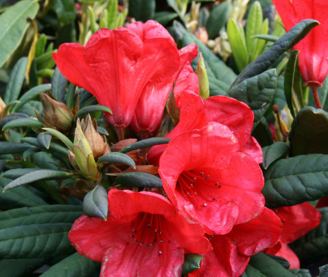 Screenshot 2026-08-31 155741.png