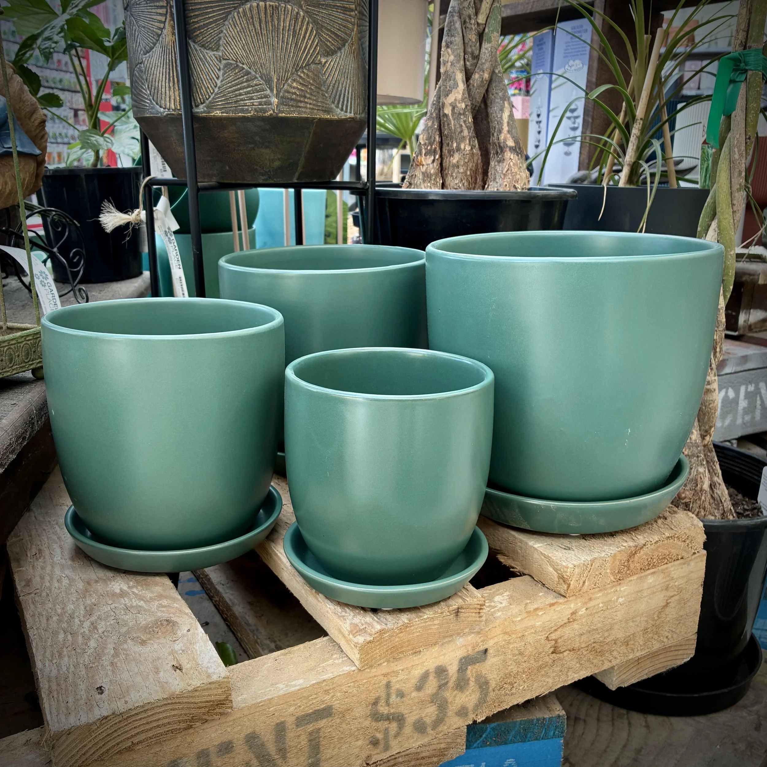 Tulip Pot - Reef Sea