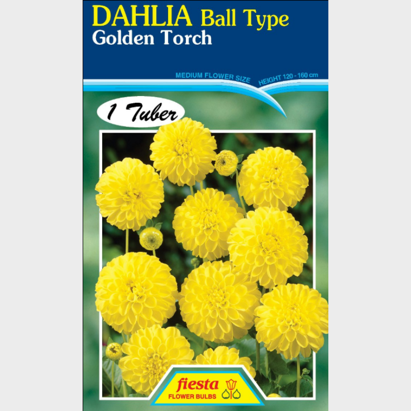 Dahlia-1 (1).png