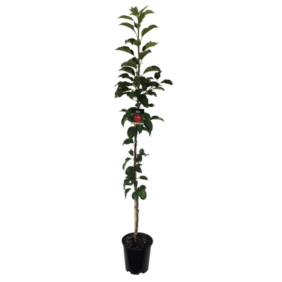 Untitled - July 02, 2026 at 20.46.12-1 (5).png