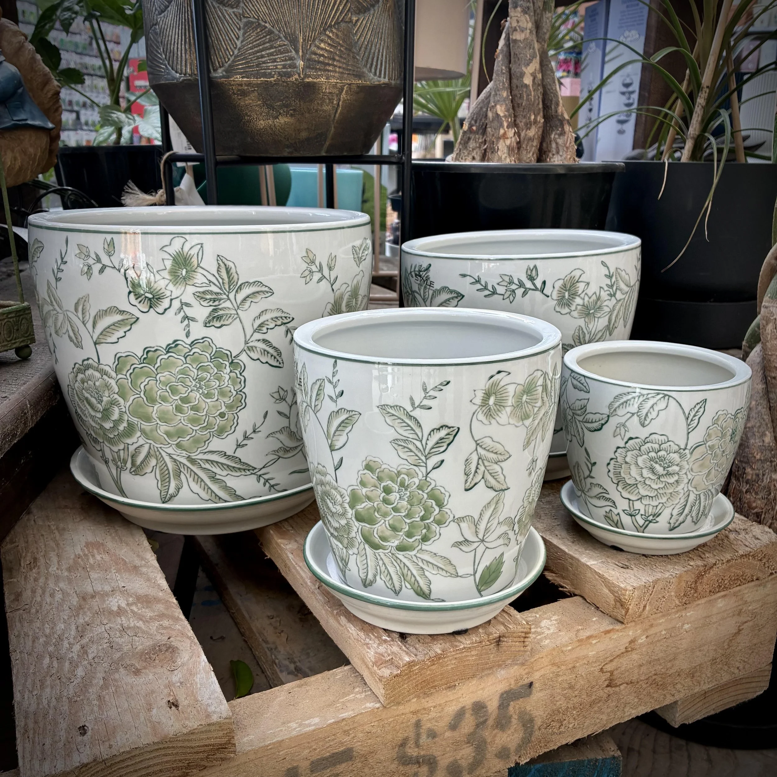 Peony Pot