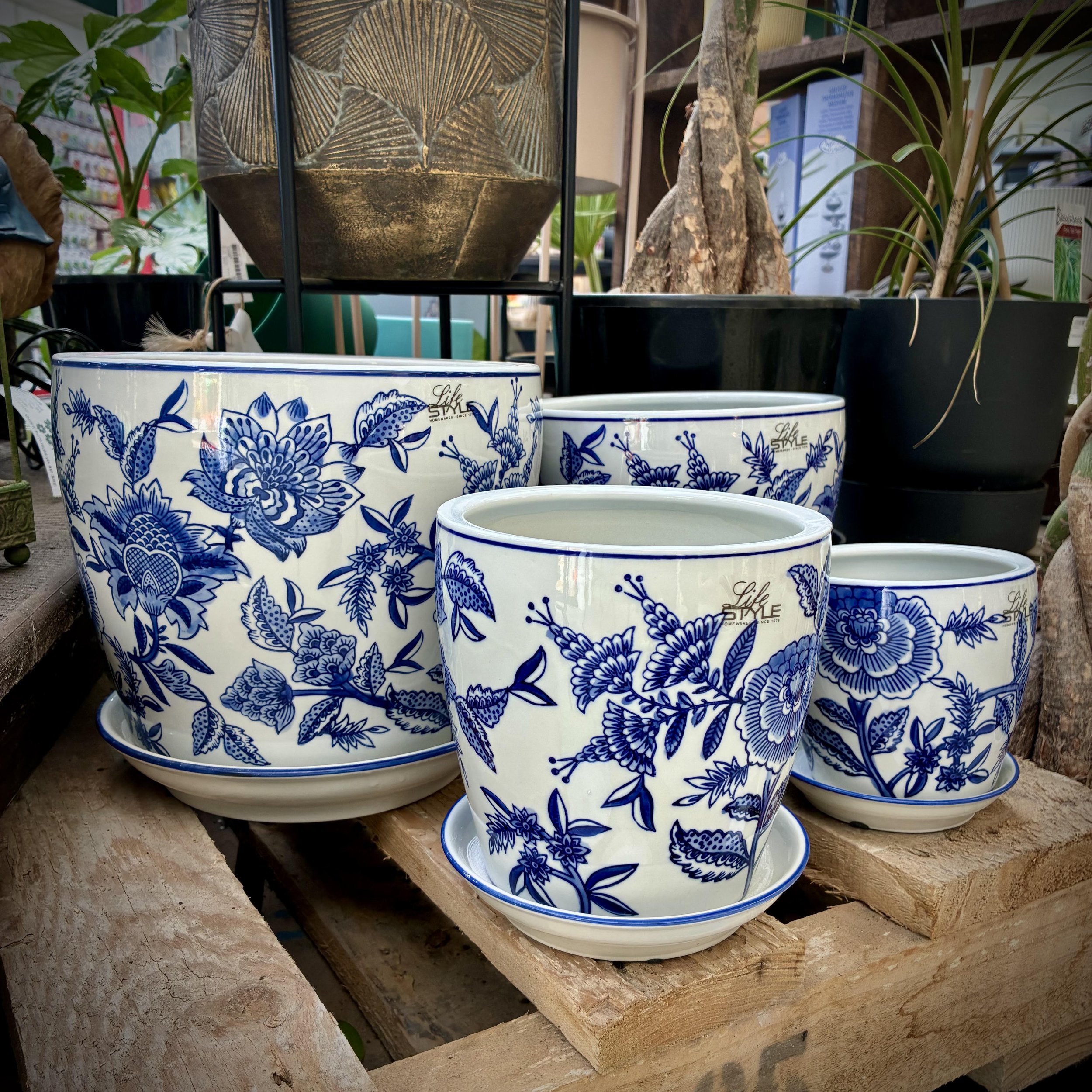 Flowers Pot - Blue