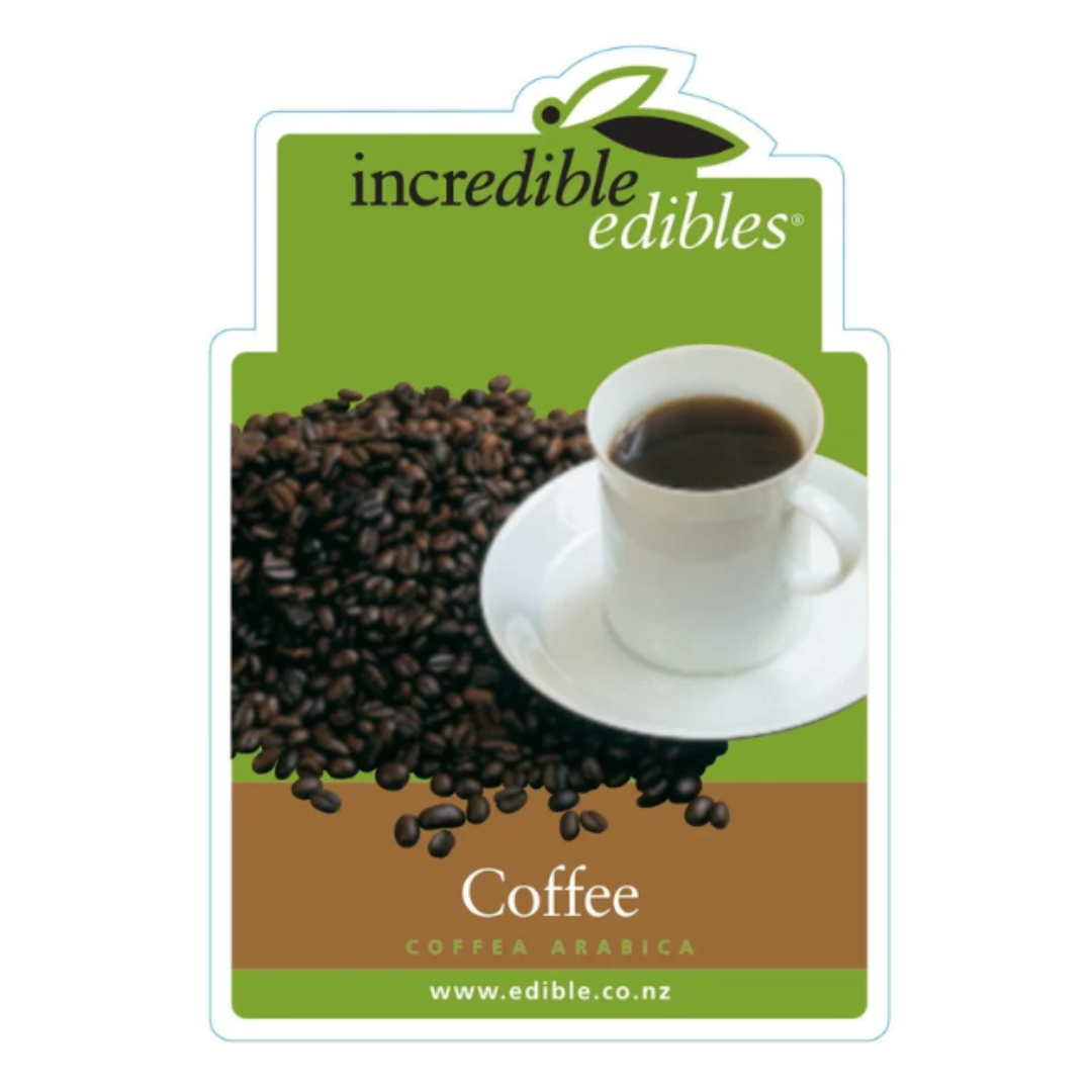 Coffee Plant 1.9L