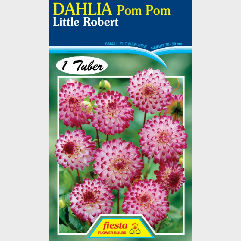 Dahlia-1 (8).png