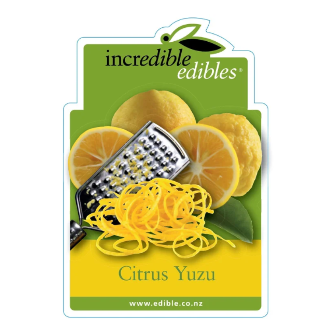 Untitled - September 24, 2026 at 19.23.02 (5).png