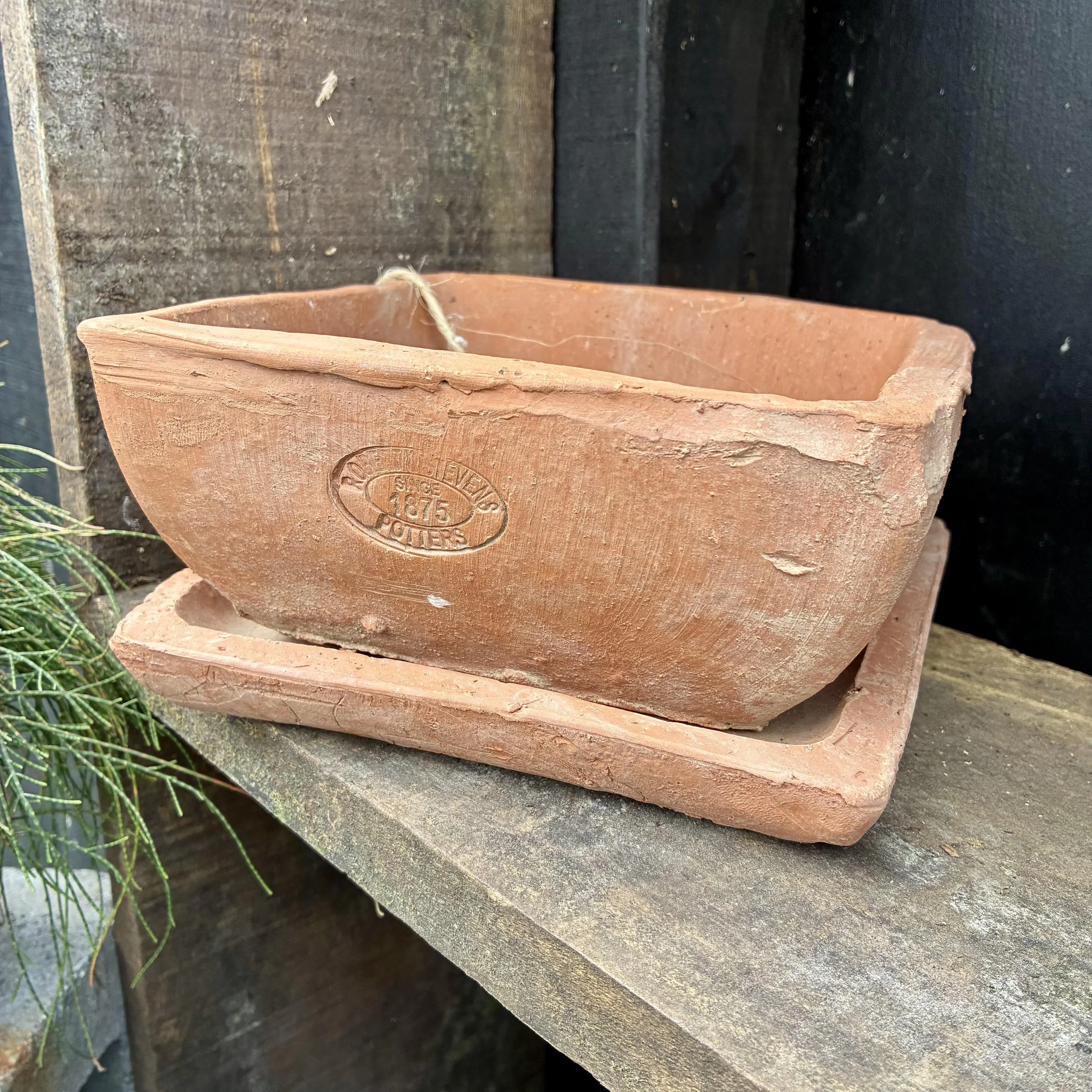 Aged Terracotta Square with Saucer