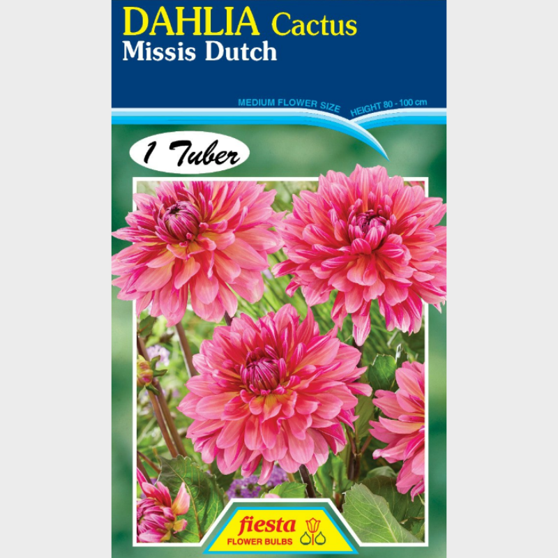 Dahlia-1 (9).png