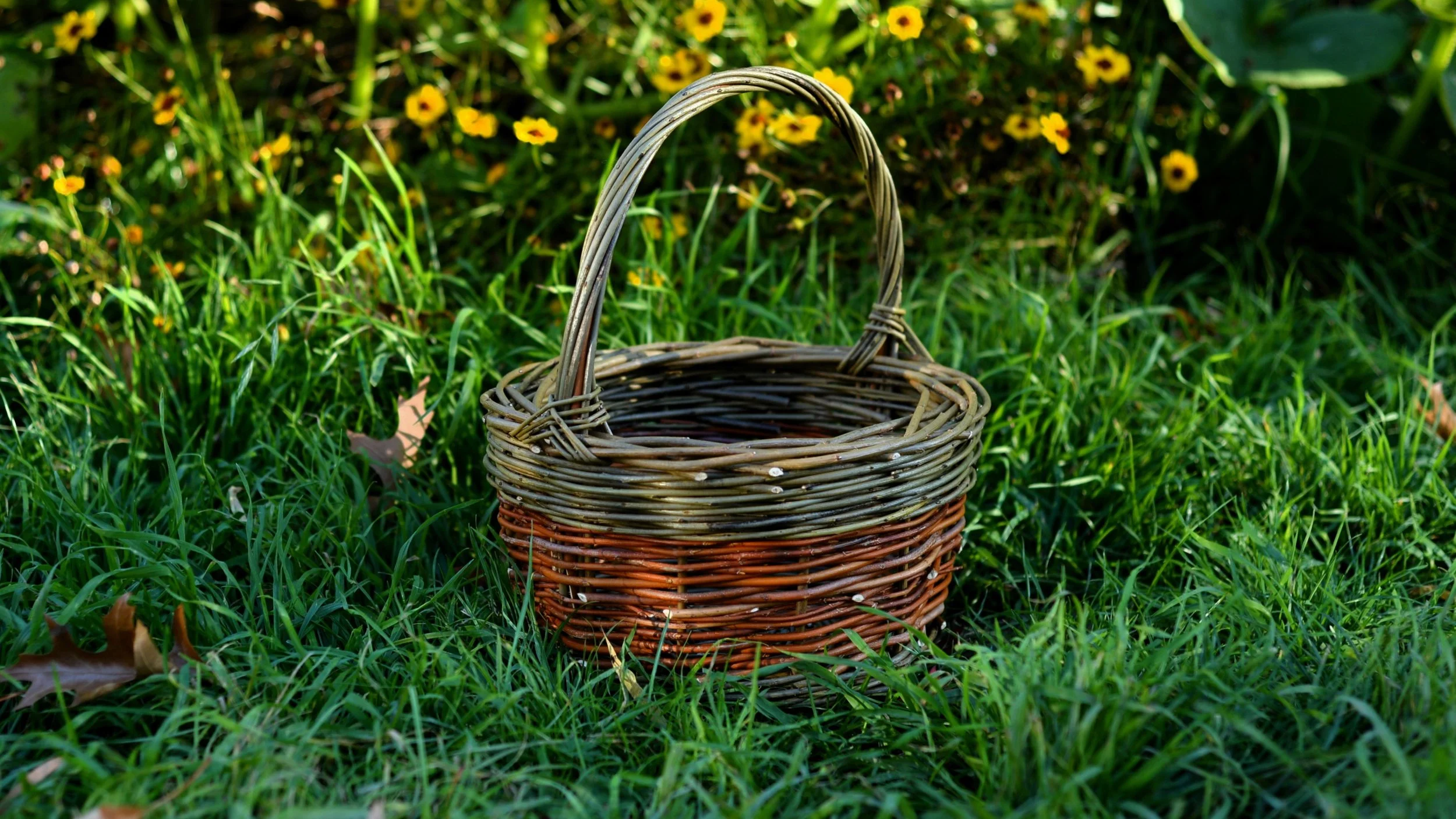DSC_8044edit2.JPG