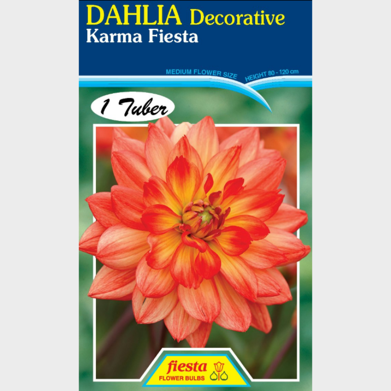 Dahlia-1 (6).png