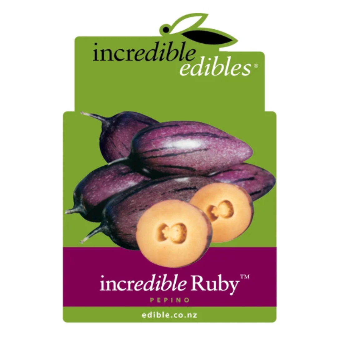 Pepino Ruby 1.9L