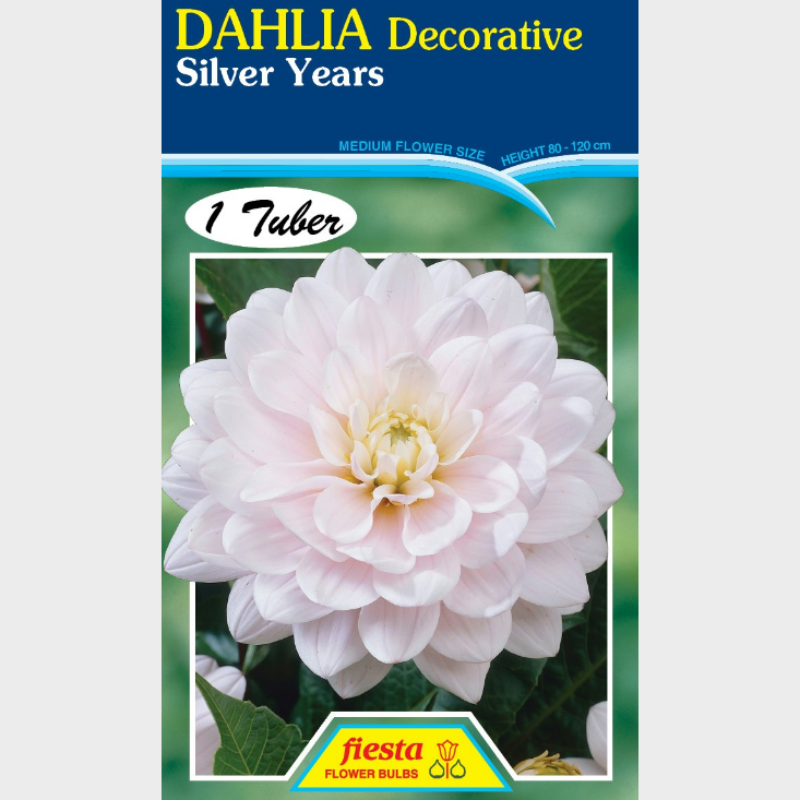 Dahlia-1 (17).png