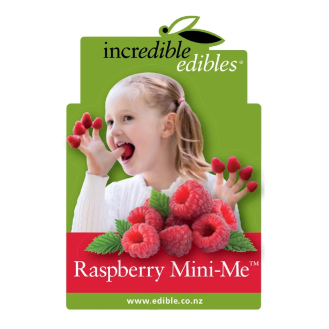 Raspberry Mini-Me (dwarf) 1.9L