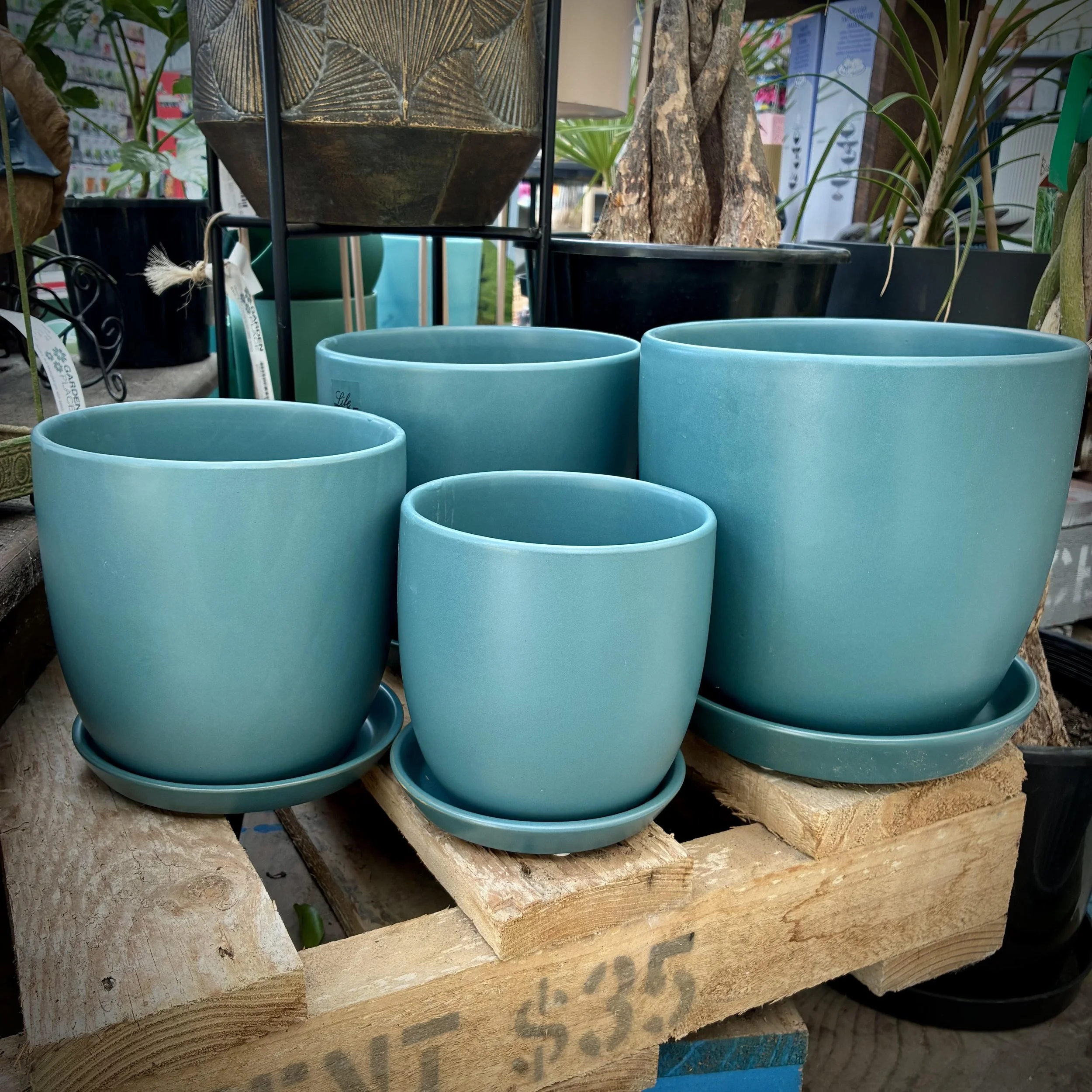 Tulip Pot - Island Teal