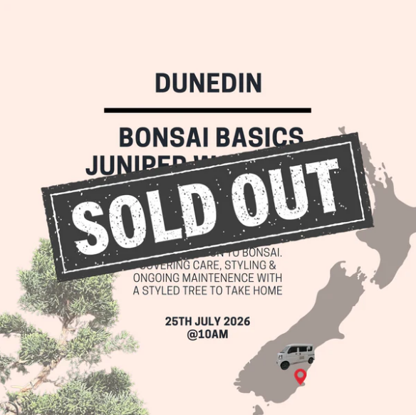 Bonsai Basics Workshop
