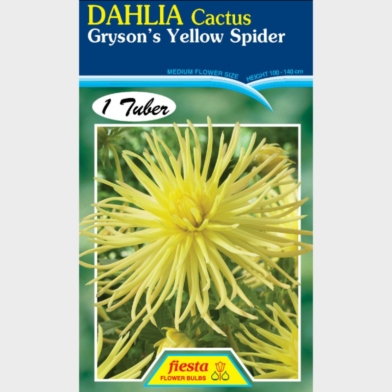 Dahlia-1 (24).png