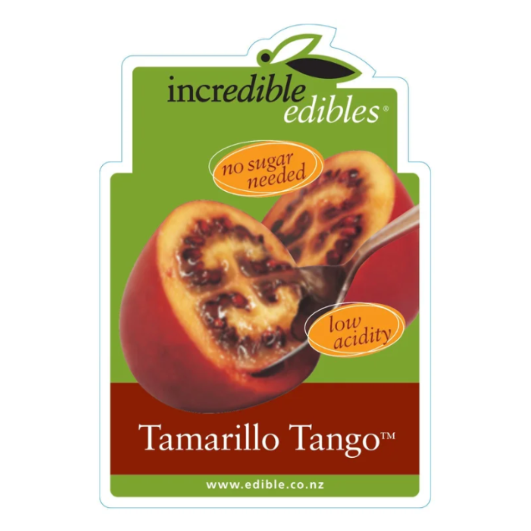 Tamarillo Tango 1.9L
