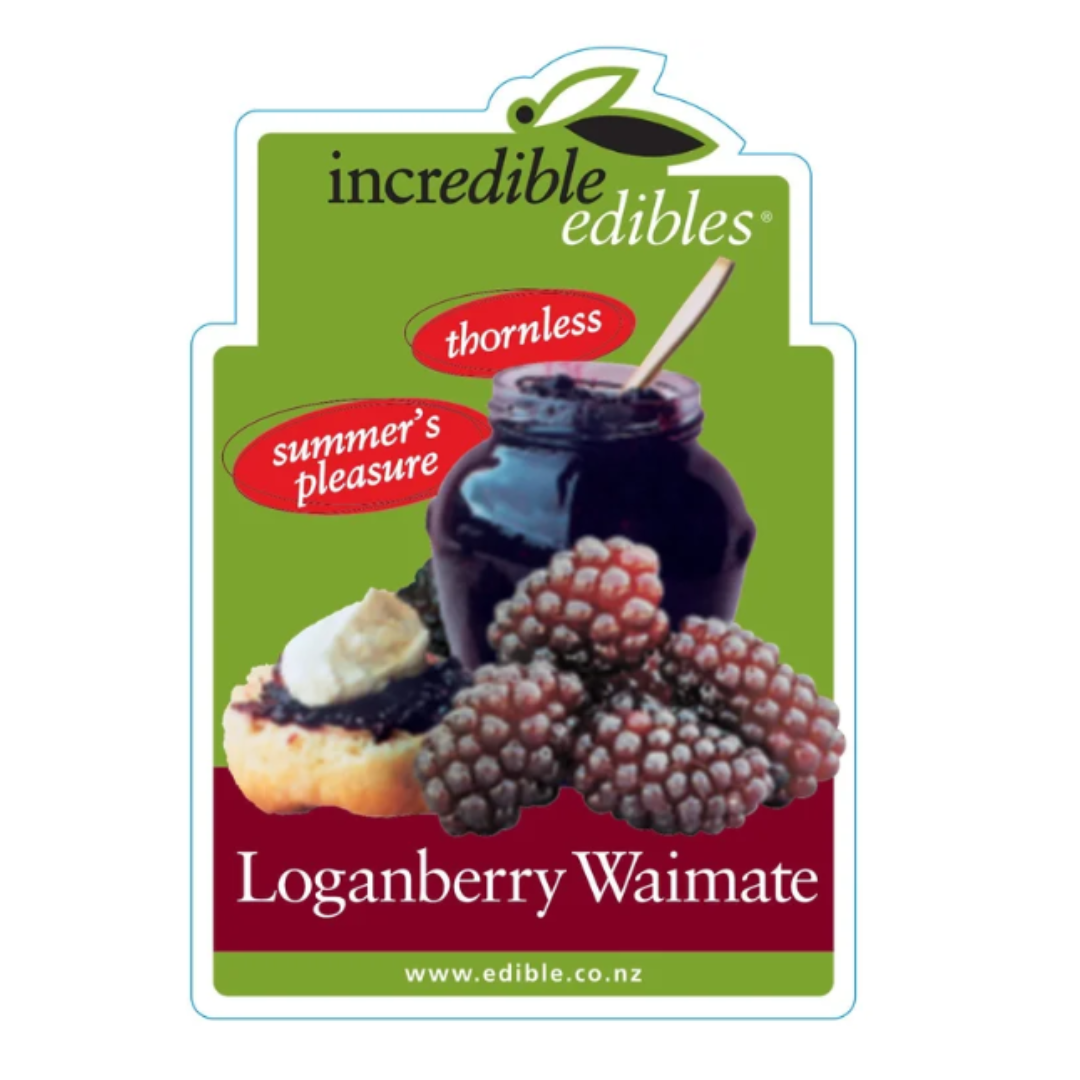 Loganberry Waimate 3L