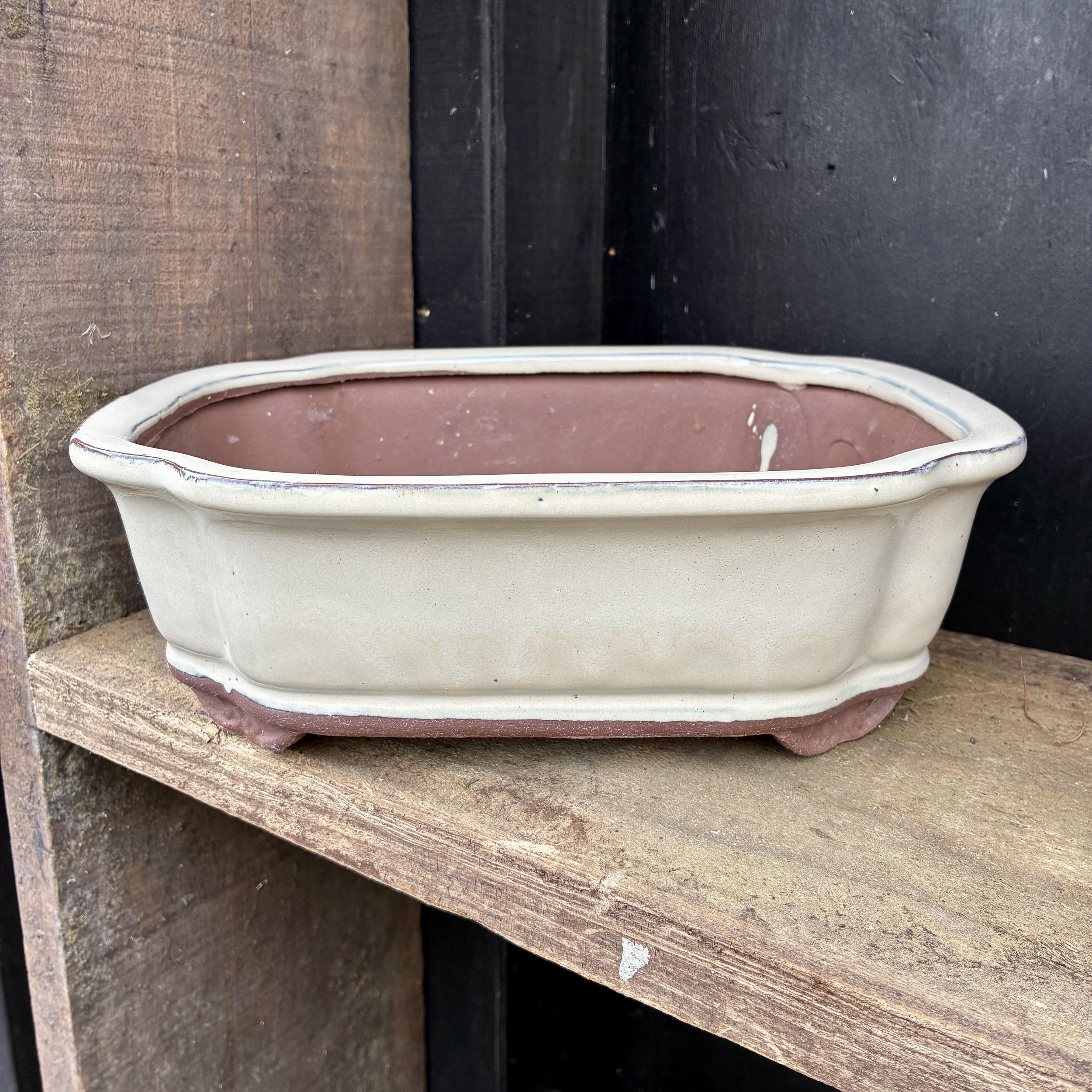 Cream Curved Edge Bonsai Pot