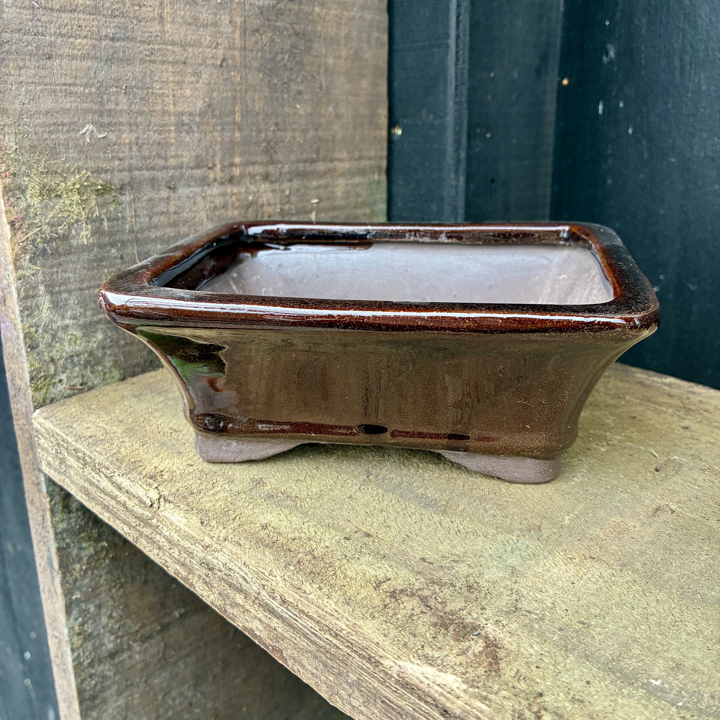 Brown Rectangular Bonsai Pot