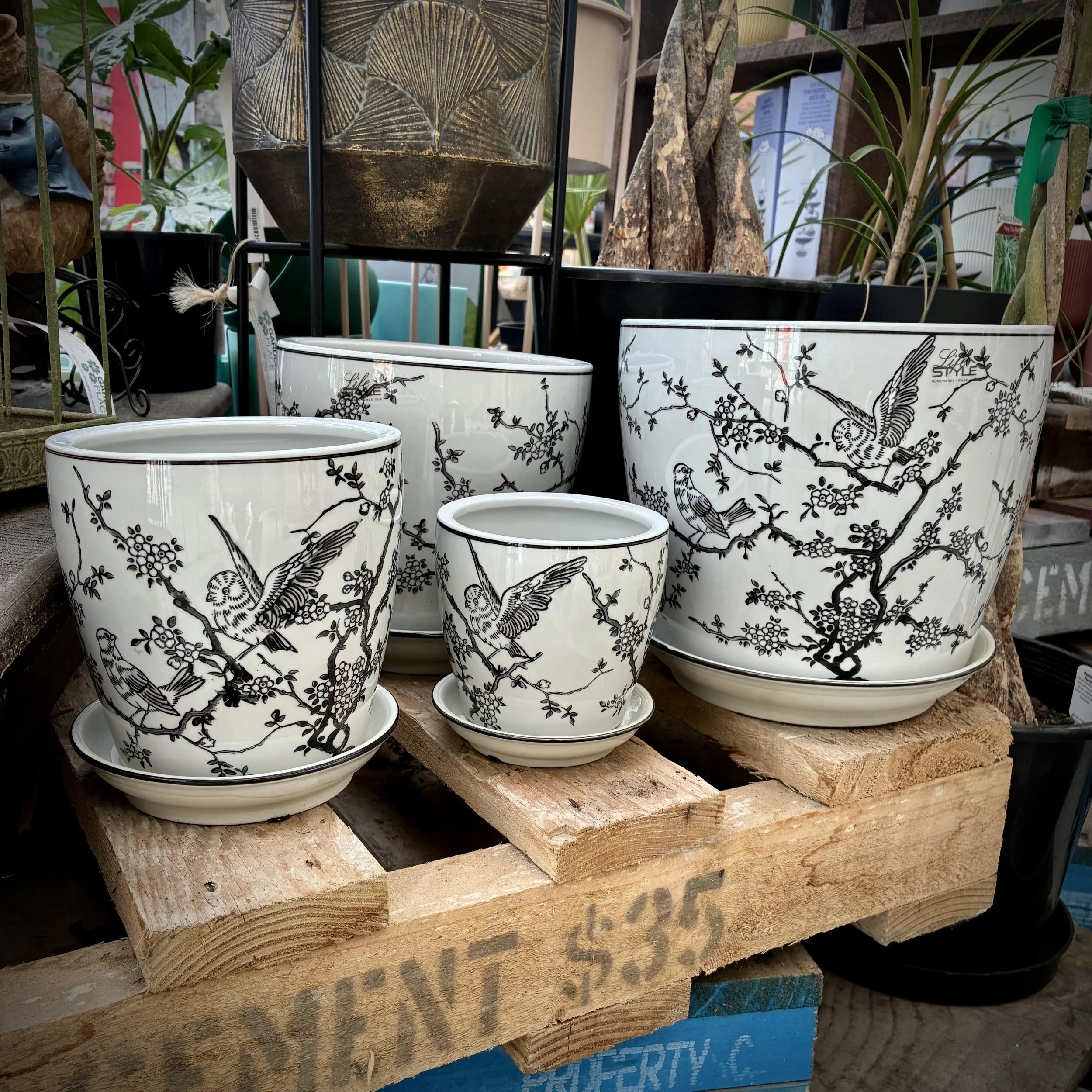 Black Bird Pot
