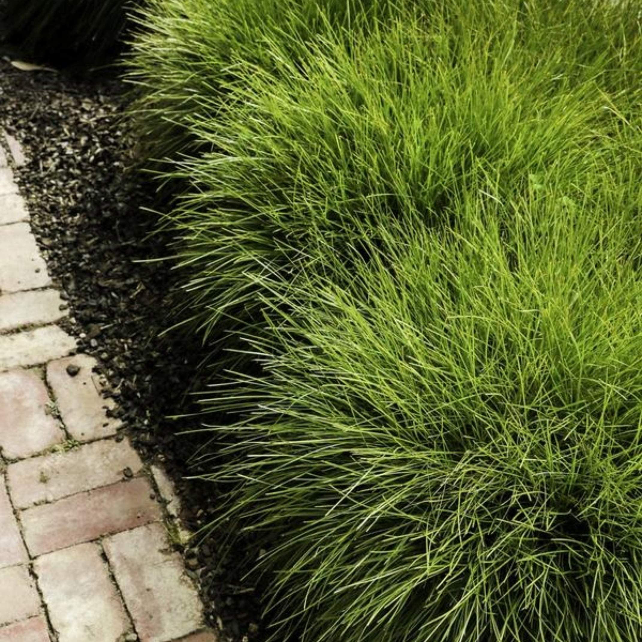 Remove background project (18).png