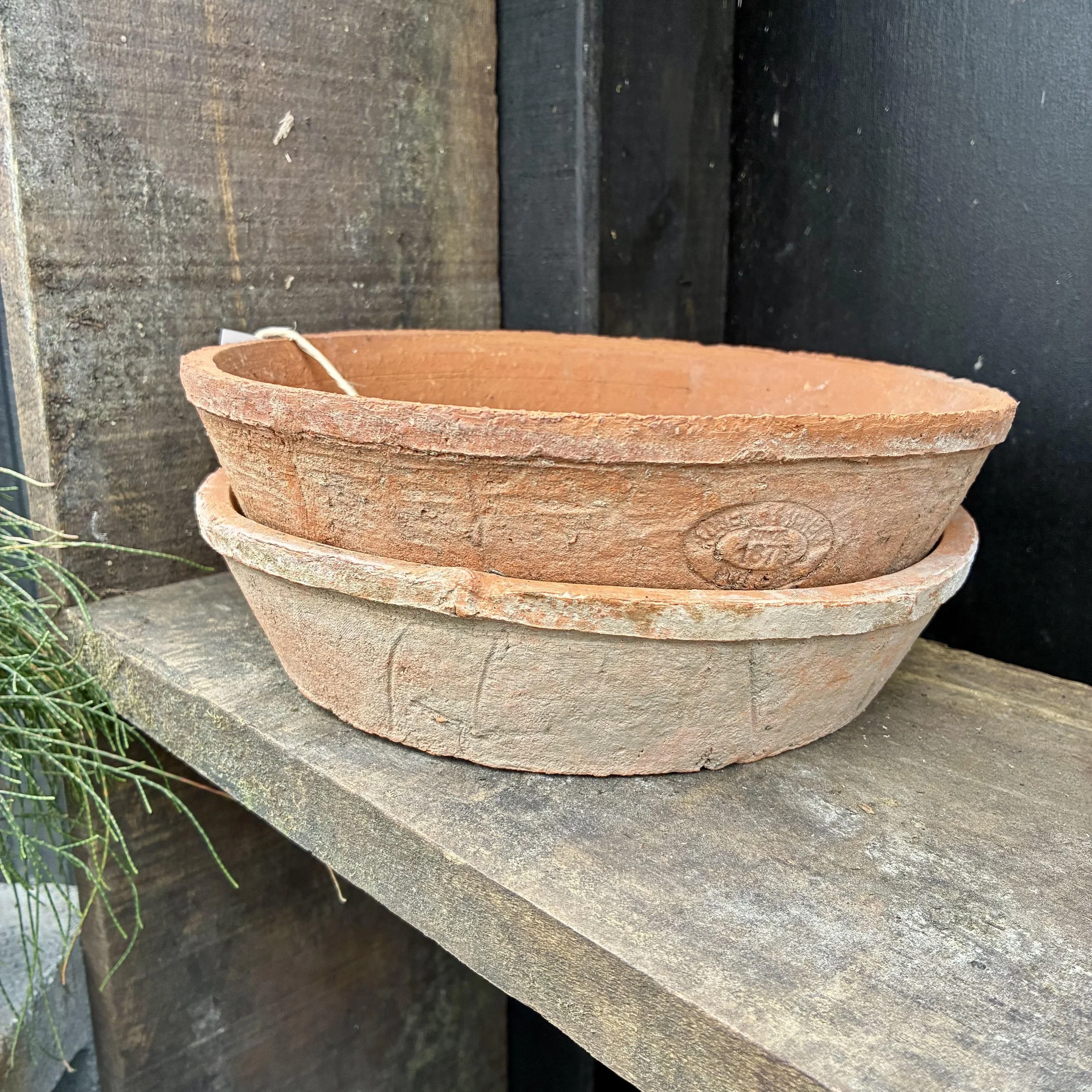 Aged Terracotta Round with Saucer
