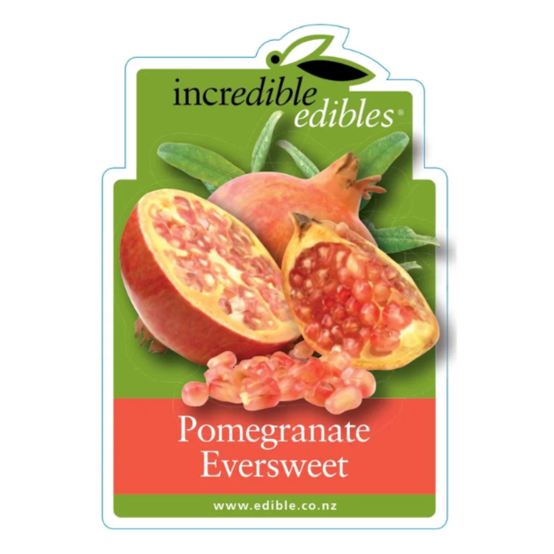 Pomegranate Eversweet 3L