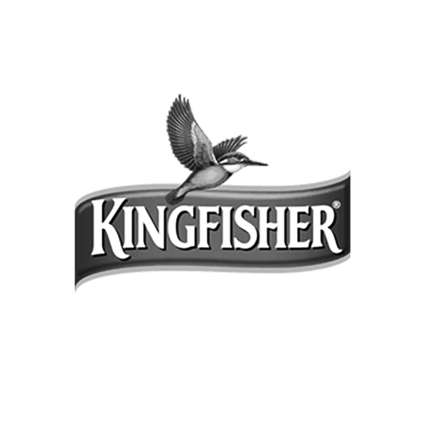 kingfisher.png