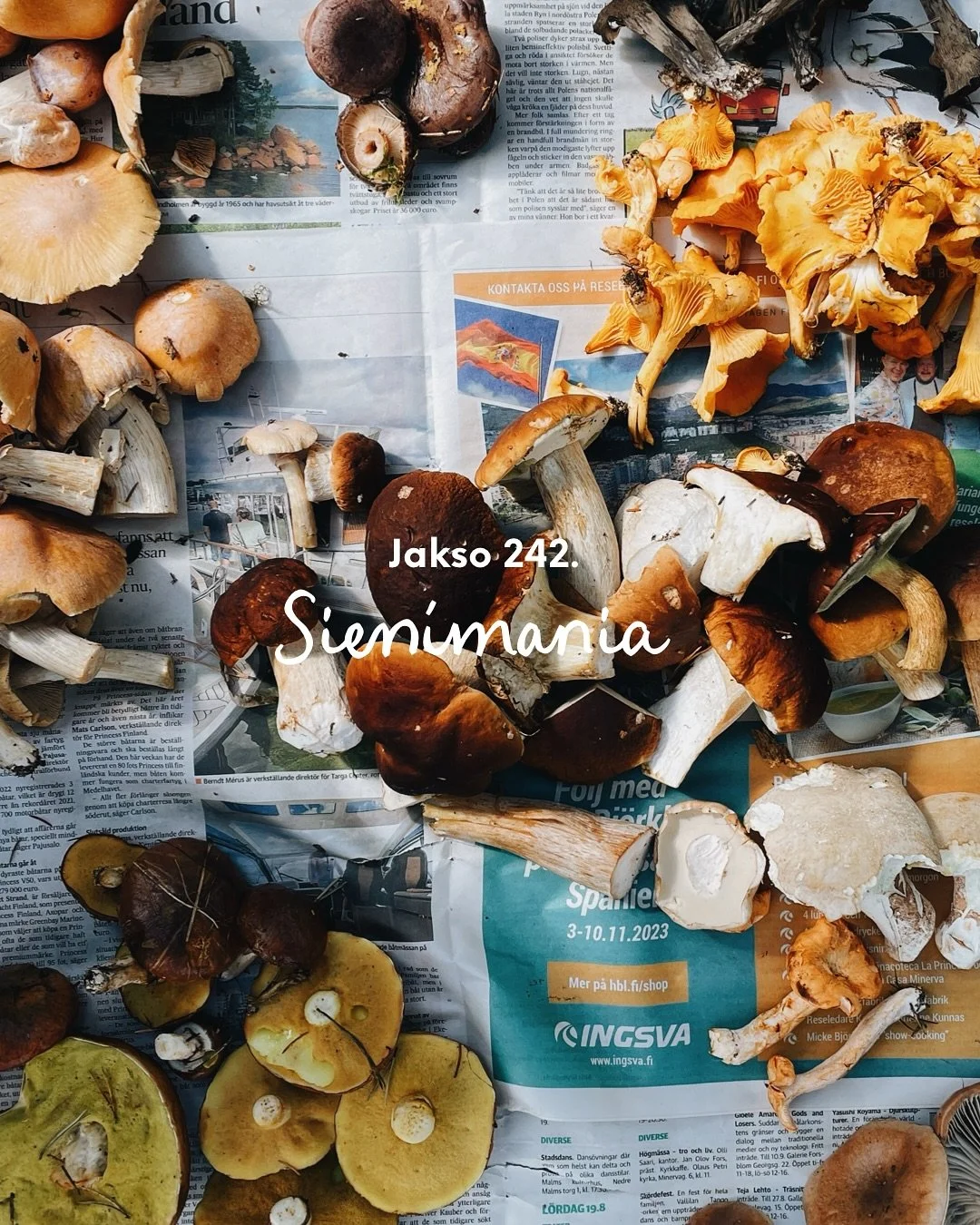 20 kuvaa viime viikon podijaksosta jossa fiilisteltiin roadtrippejä, retkieväitä ja tehtiin syväsukellus sieniin. 🍄‍🟫
Juteltiin lajien tunnistuksesta, sienien käsittelystä ja säilömisestä, meidä
