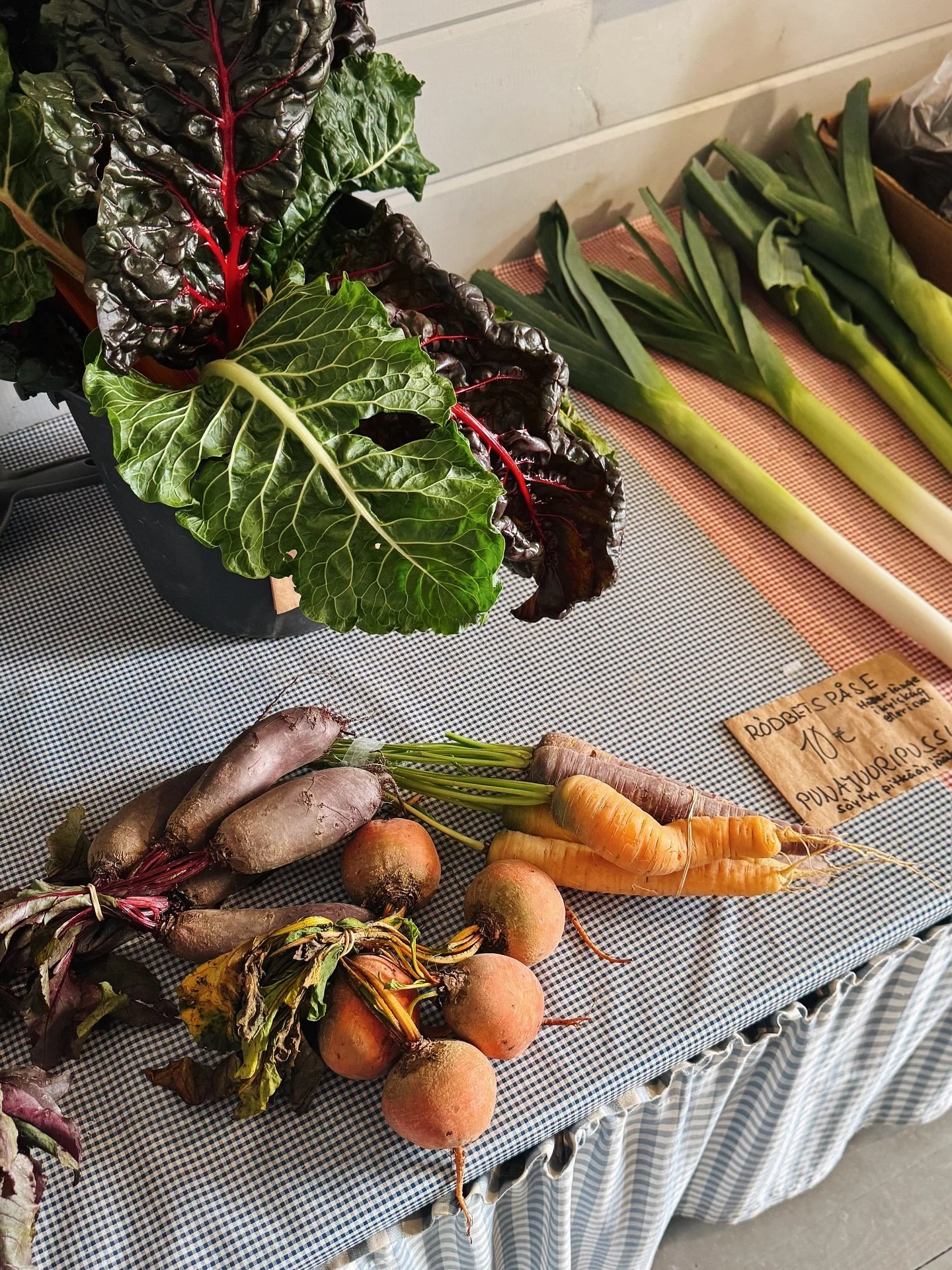 Kian täydellinen syysviikonloppu 🍁🍂 Sienestystä, kalastusta, ihanaa ruokaa, paljon teetä, takkatulta, saunomista ja uimista, villaa päästä varpaisiin ja kotiin aarteiden kera.