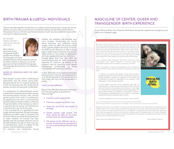 Birth trauma training manual_6.png