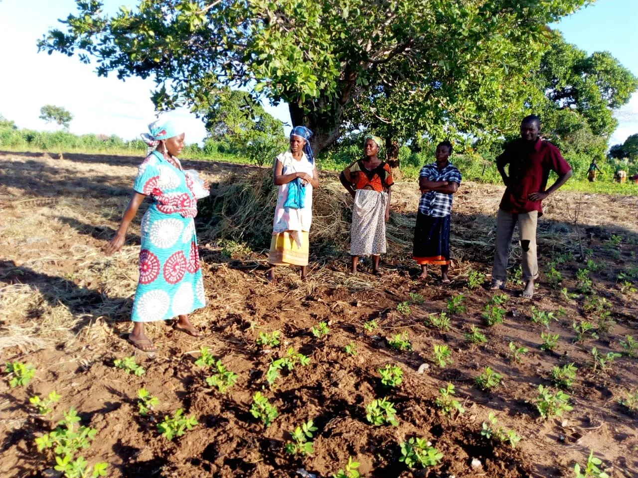 40 years of international work