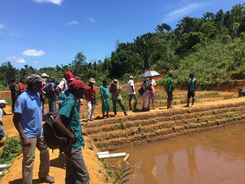 Inspecting new ponds