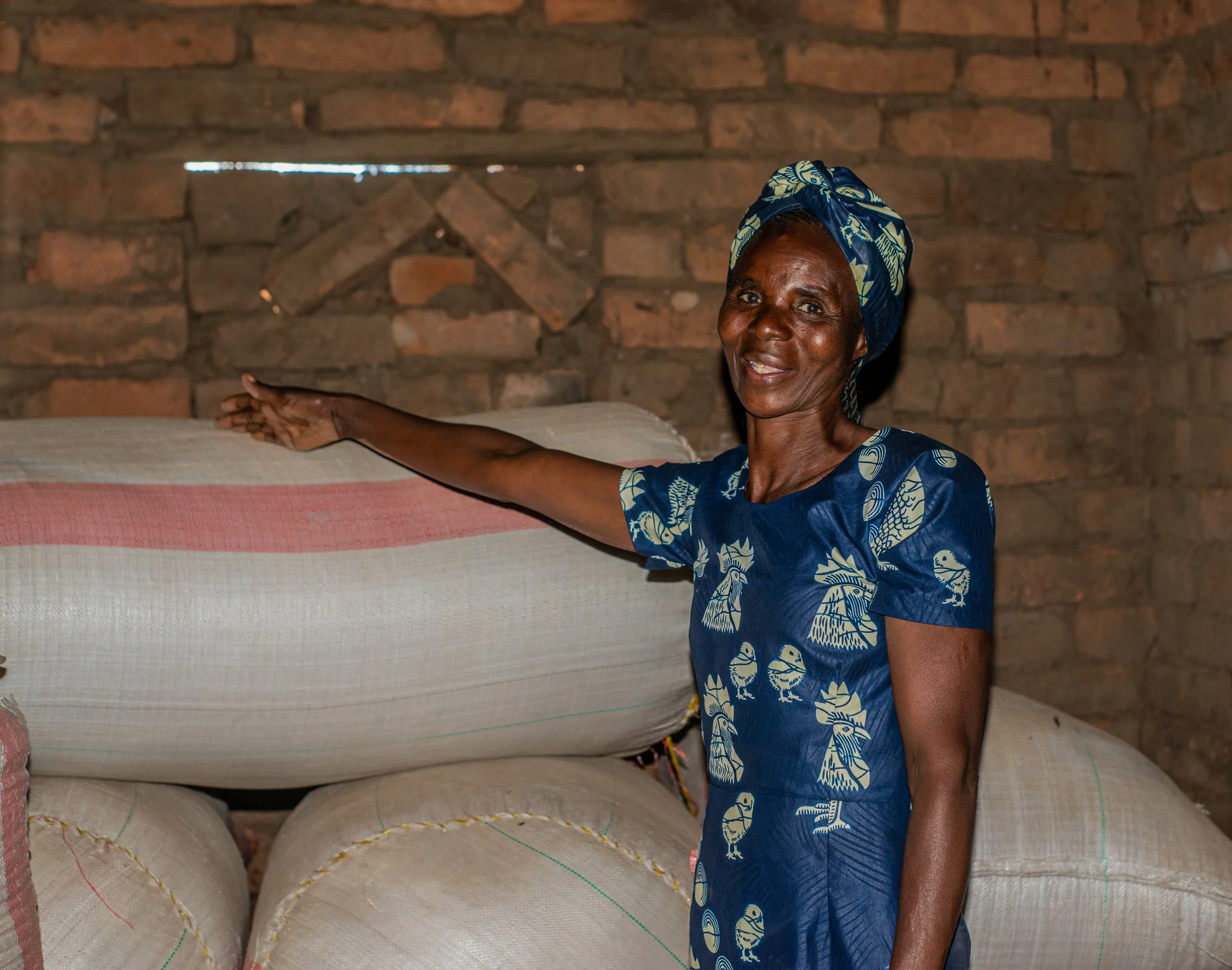 Transition from subsistence farming to commercial farming — Norges Vel ...