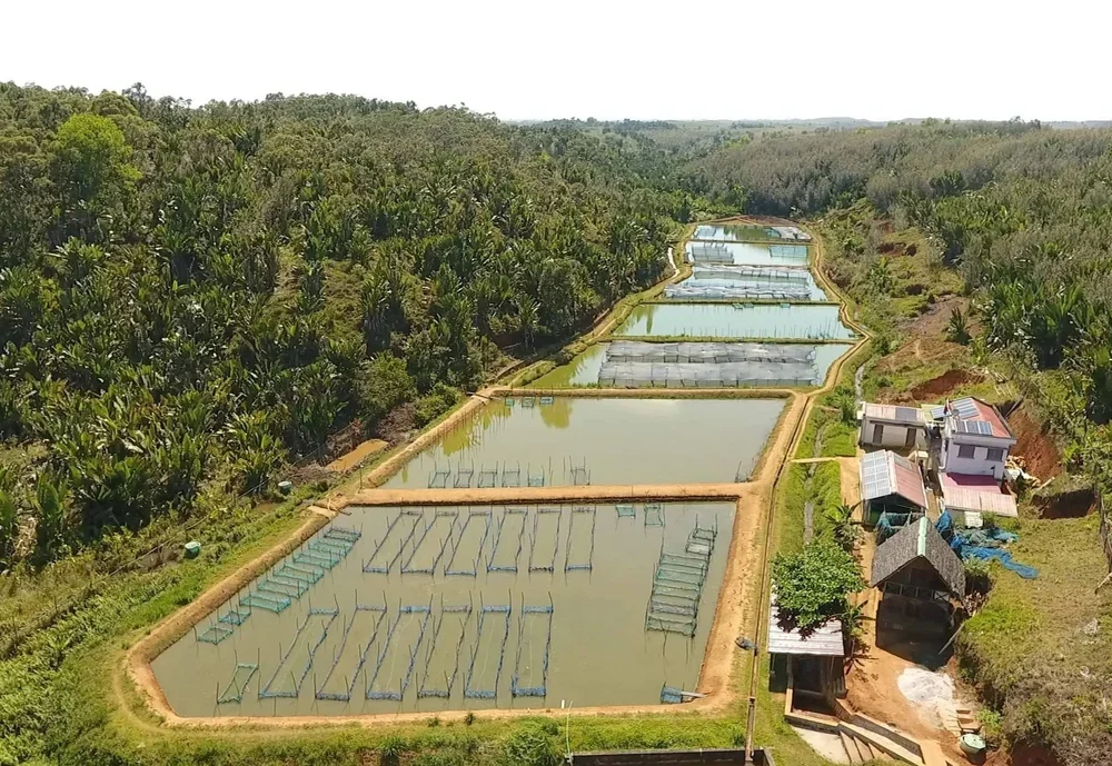 Norges Vel Tanzania is Hiring!