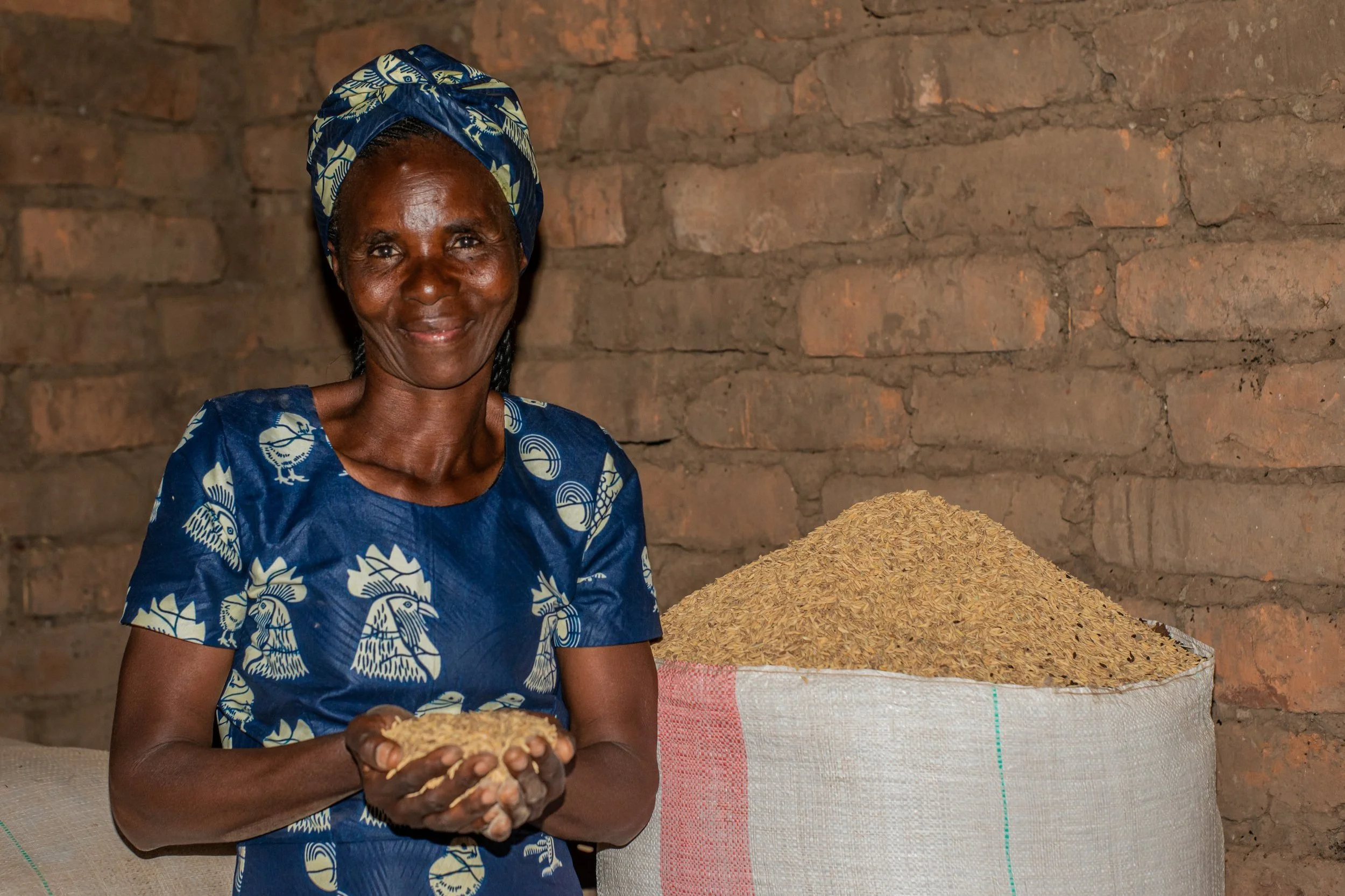 Transition from subsistence farming to commercial farming — Norges Vel ...