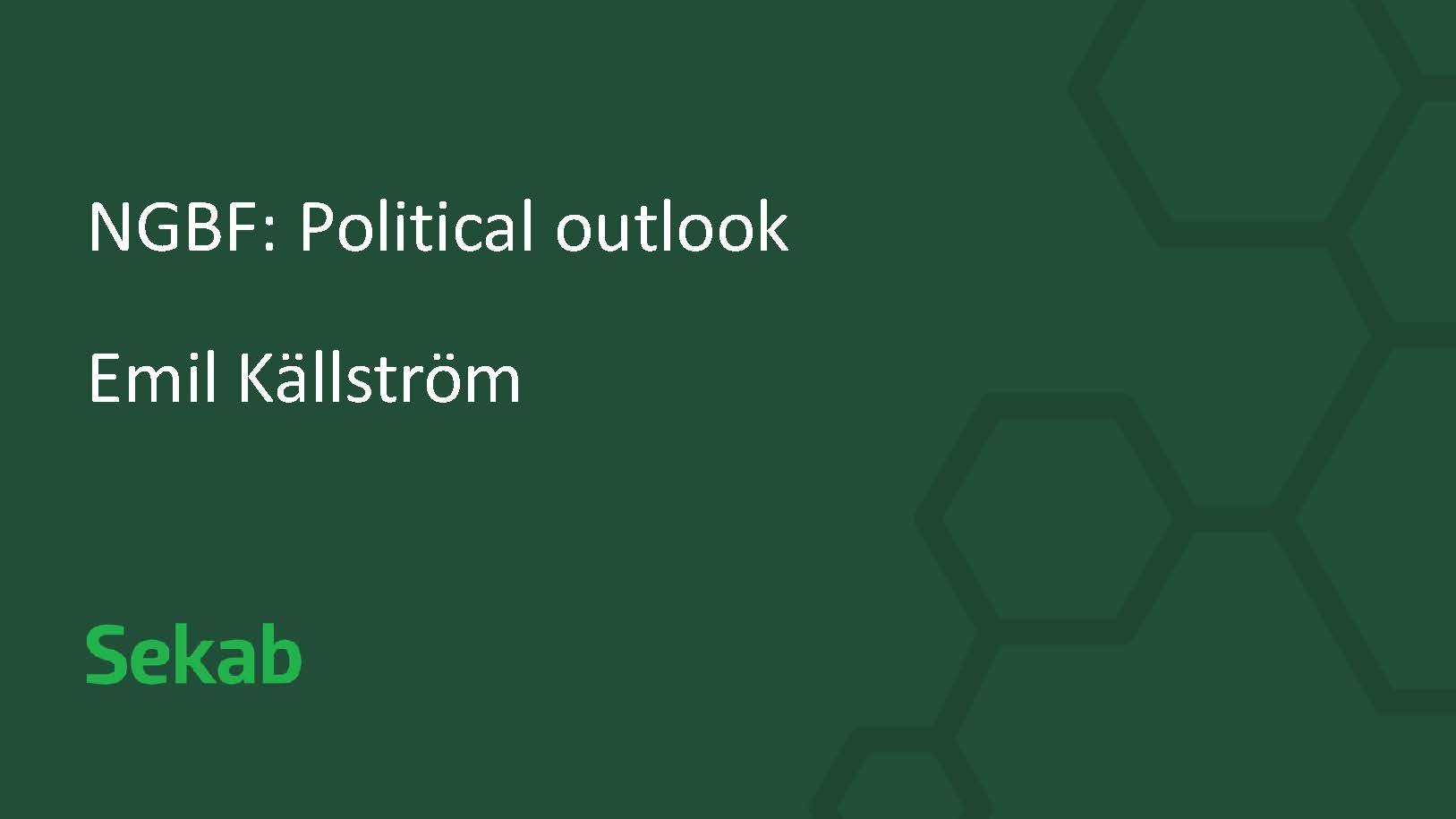 NGBF- Political outlook, Emil Källström_Page_1.jpg