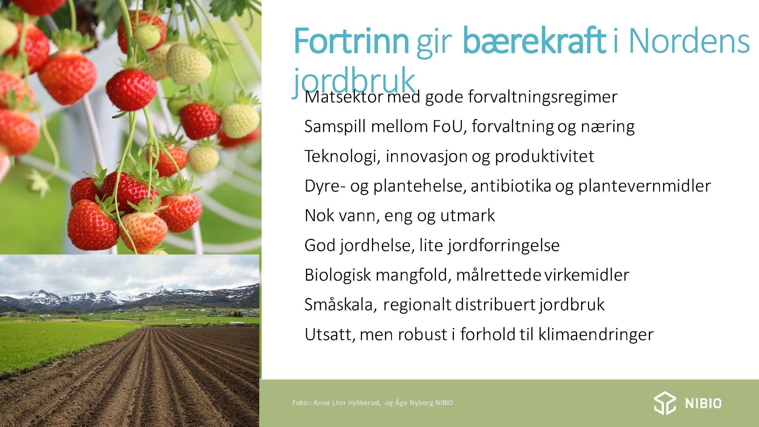 The New World Trade and Food Security, Spesialrådgiver Arne Bardalen, NIBIO_Page_5.jpg