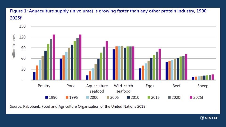 2023 02 17 NGBF presentasjoner dag to.058.jpeg