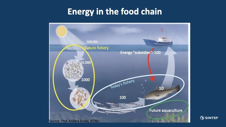 2023 02 17 NGBF presentasjoner dag to.066.jpeg