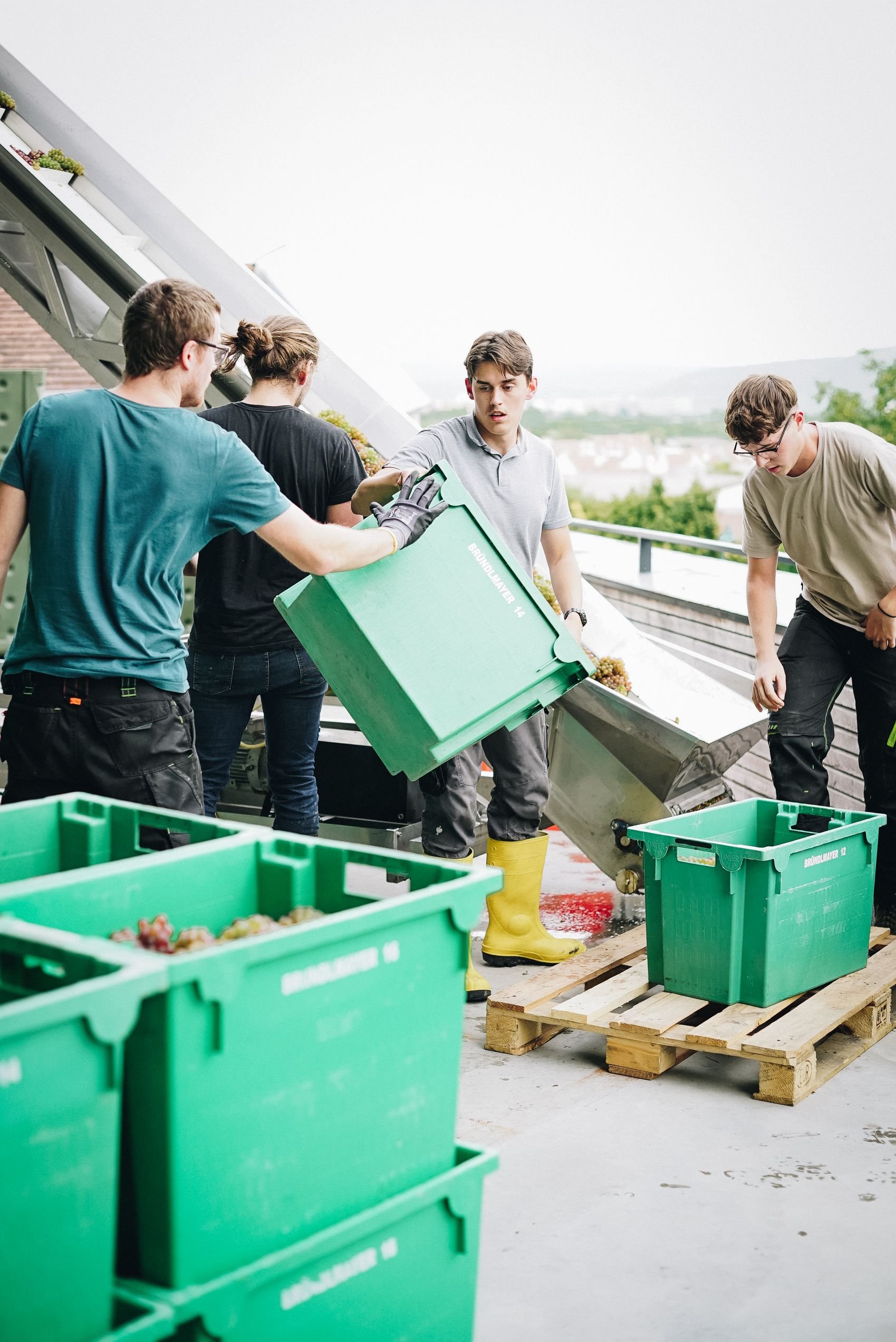 WeingutBruendlmayer_StudioPilens_harvest2021-10.jpeg