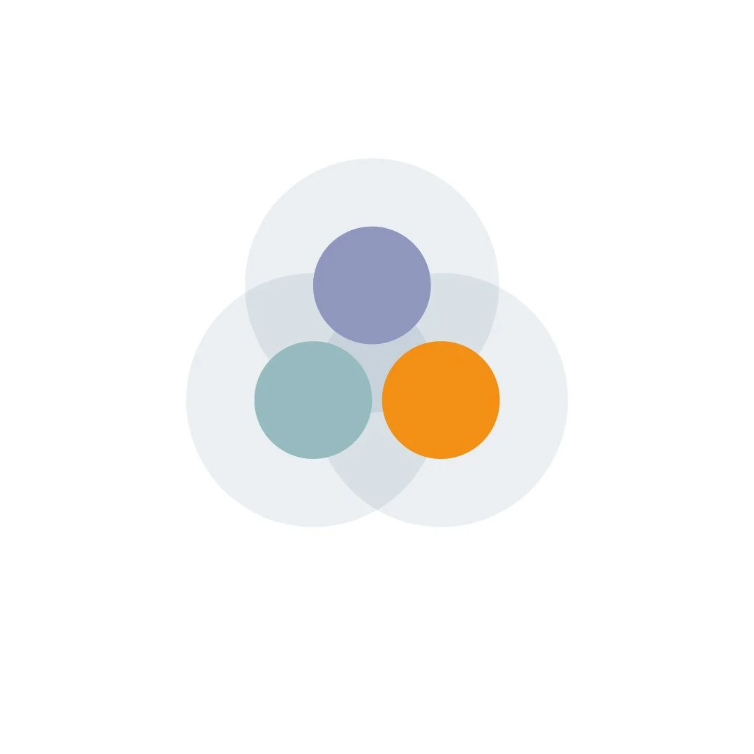 Teaching digital government and AI: Foundational training for educators