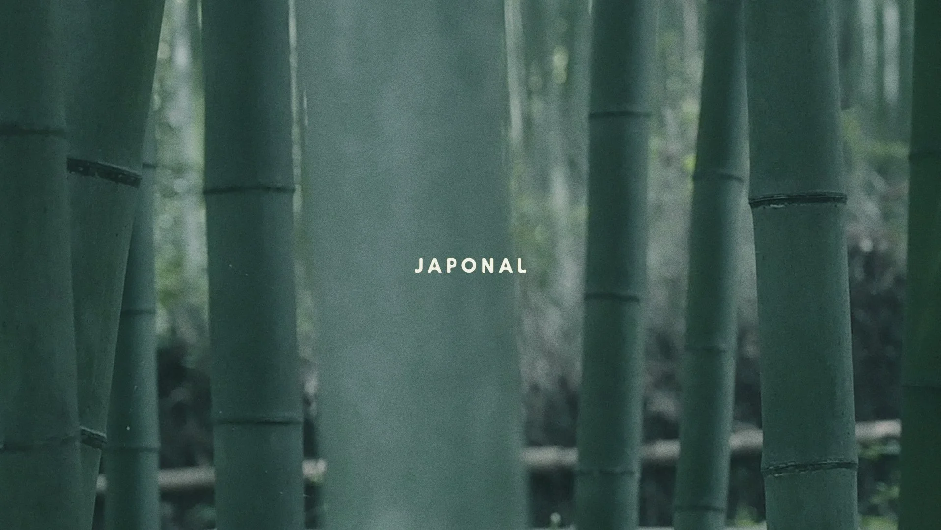 Horizontal para web copia.jpg