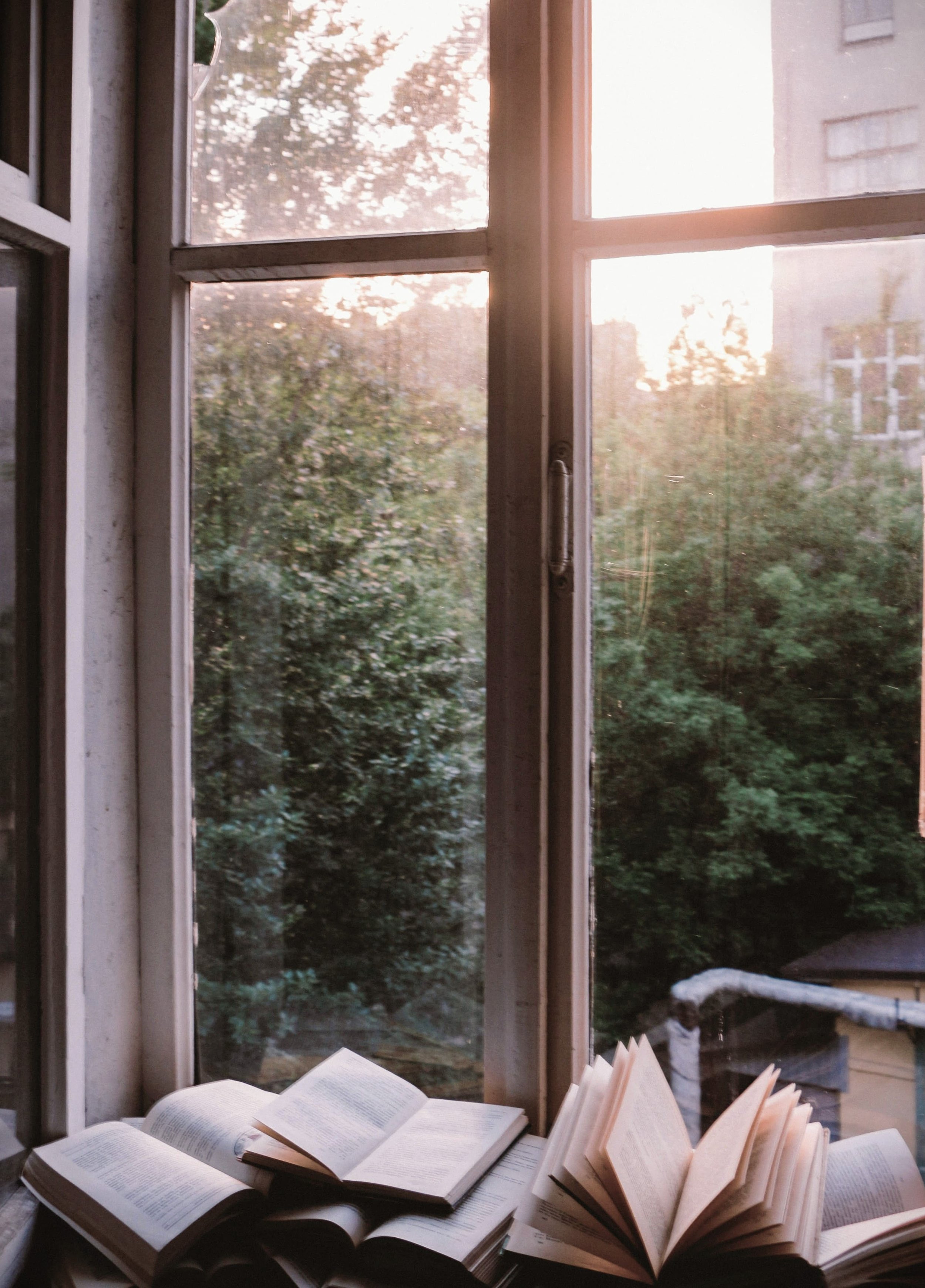 a collection of open books at a windowsill