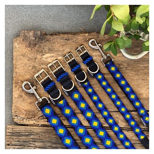 &quot;Bolom&quot; our vibrant design for your doggies spring look. All of our products are handmade by amazing Mexican people.
.
.
.
#bluecollar #boy #handmade #wearexozil #petaccessory #labrador #madeinmexico #tzotzil #Sancristobaldelascasas #dogacc