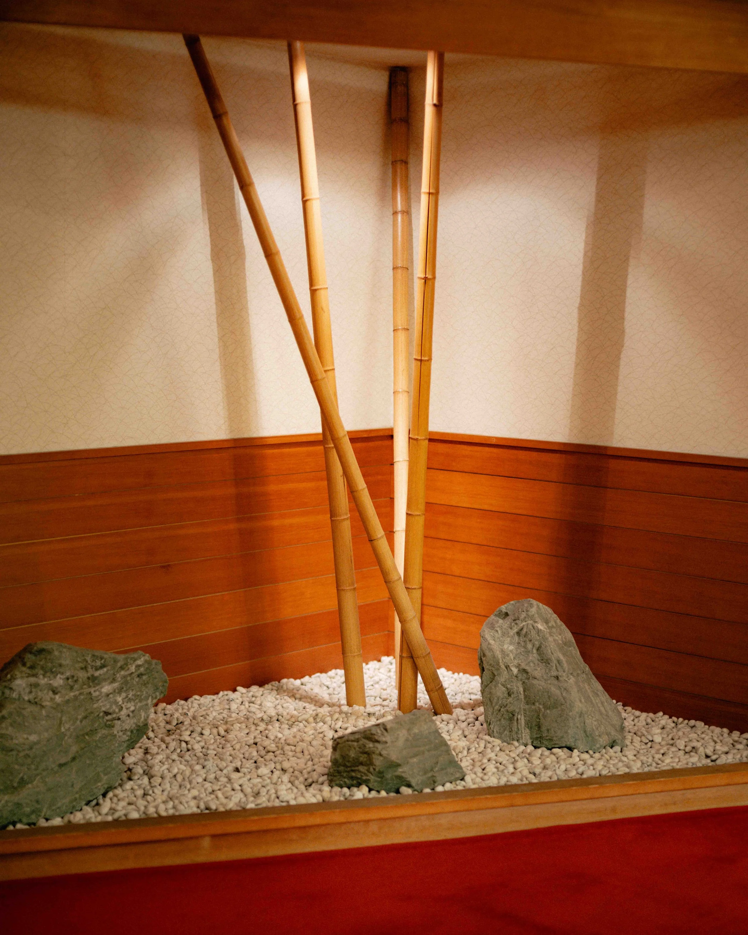 DSCF6353.jpg